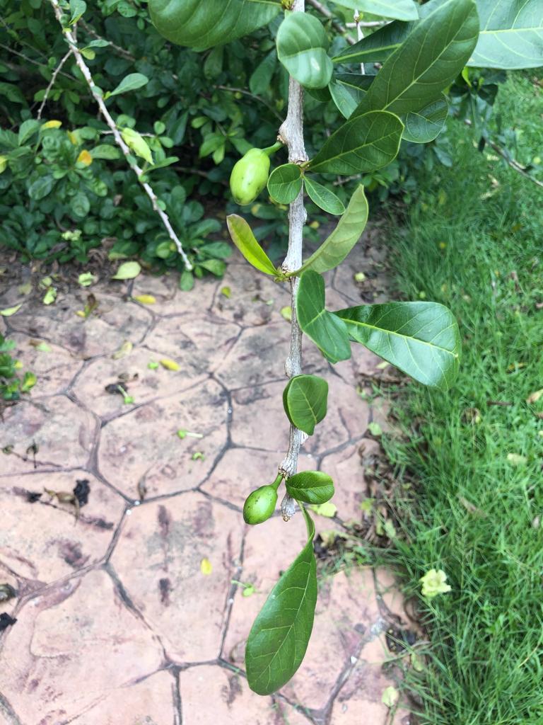 autism, kids, hyperactive